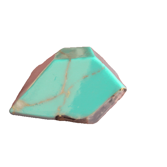 Image 24